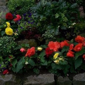 Meet your Posher, Gary